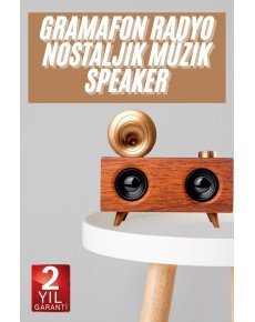 Gramophone Nostalgic Radio High Sound Quality USB TF Card Aux