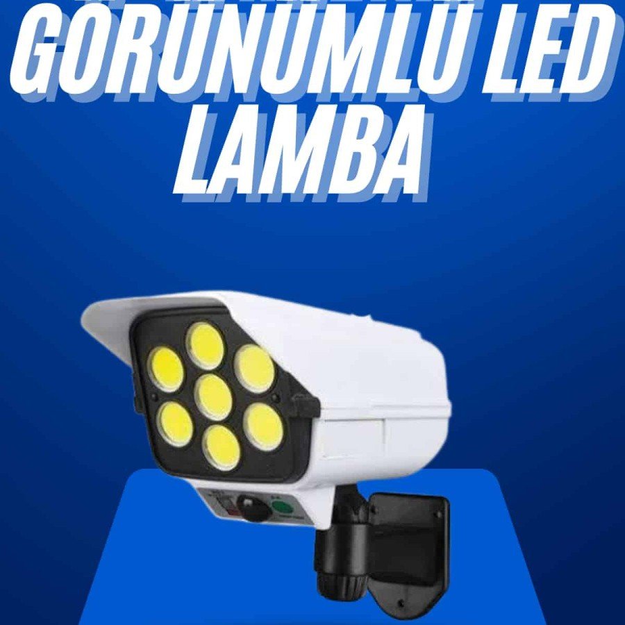Solar Garden Lighting With Motion Sensor Remote Control Camera View