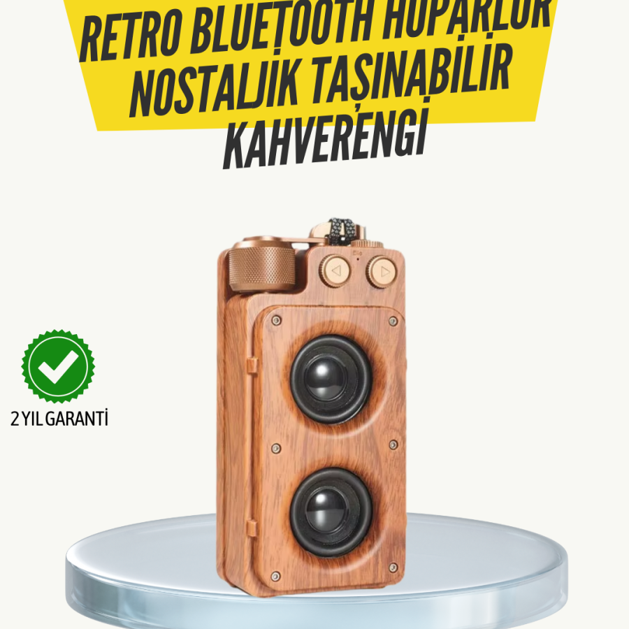 Classic Looking Bluetooth Speaker 360 Degree Stereo and FM Radio