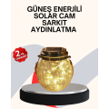 Decorative Solar Glass Bottle LED Lamp Daylight Color