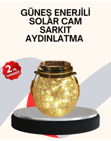 Decorative Solar Glass Bottle LED Lamp Daylight Color
