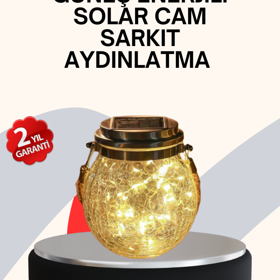 Decorative Solar Glass Bottle LED Lamp Daylight Color