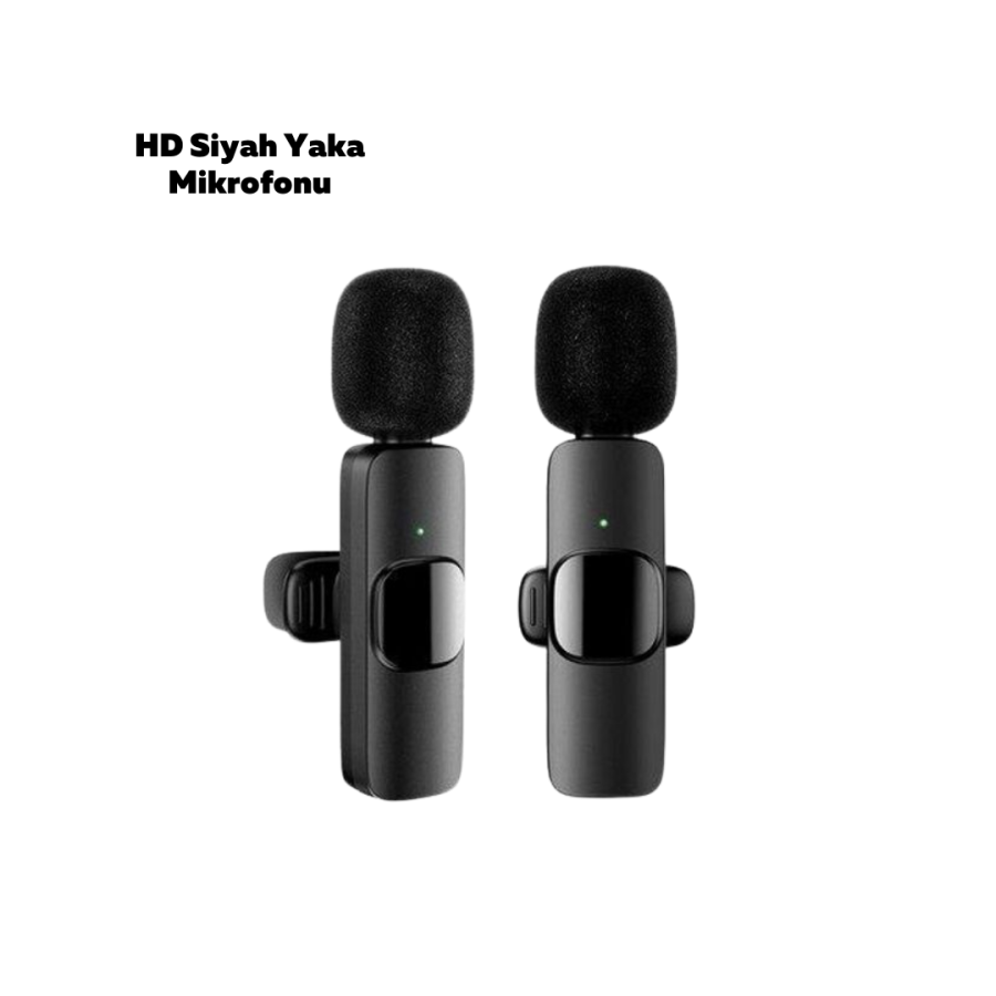 K11 LABELARY MICROPHONE