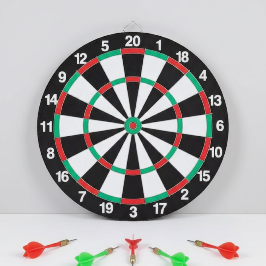 15INCH DART