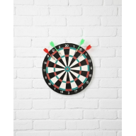 17 Inch Darts