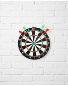 17 Inch Darts
