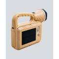Flame Effect Solar Lamp – Waterproof