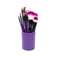 12 Piece Soft Tip Makeup Brush Set - Brush Set for Eye and Face Makeup Professional Makeup Set