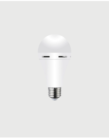 DL-2030 Rechargeable LED Bulb
