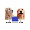 Pet Lice Comb Set Set of 4 with Stainless Steel Blades Pet Lice Comb Set Set of 4 with Stainless Steel Blades