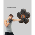 Smart Boxing Training Device with Bluetooth, Light-Targeted Cardio and Fitness Equipment Smart Boxing Training Device with Bluetooth, Light-Targeted Cardio and Fitness Equipment