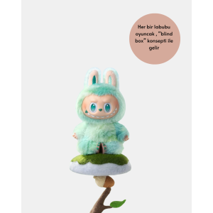 Boxed Labubu Toy – Mixed Color Shipping