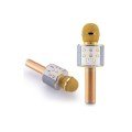 Bluetooth Speaker with SD-usb-aux Input with Karaoke Microphone Built-in Speaker Bluetooth Speaker with SD-usb-aux Input with Karaoke Microphone Built-in Speaker