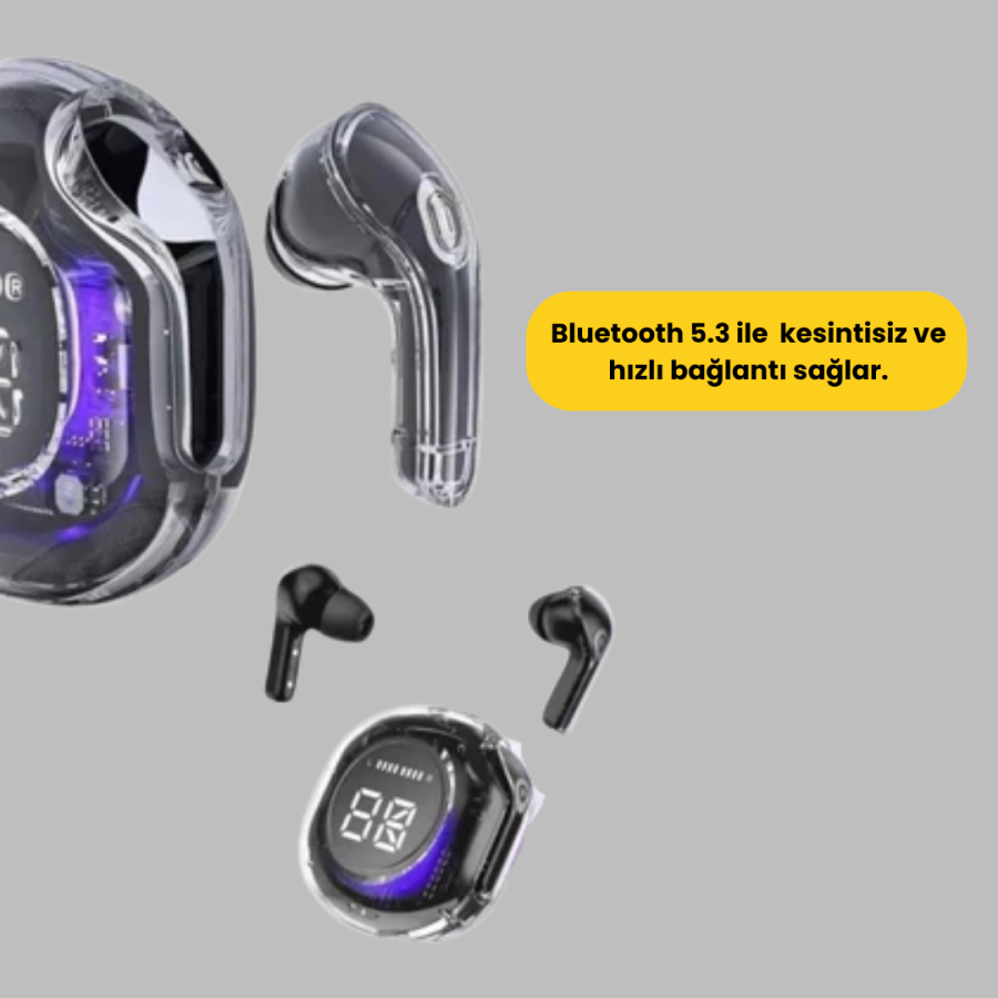 Detailed Sound Experience and LED Screen Technology