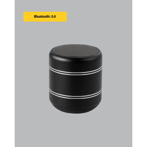 Compact Cylinder Metal Bluetooth Speaker 400 mAh Long Battery TWS Supported