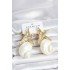 Natural Sea Shell and Gold Color Star Model Women's Earrings