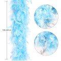 Light Blue Color Fluffy Thick Otriş Boa Feather 6 cm Width 180-200 cm Length Light Blue Color Fluffy Thick Otriş Boa Feather 6 cm Width 180-200 cm Length