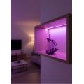 HAND HUMAN FIGURE PURPLE