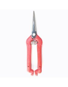 Pointed Grape and Citrus Scissors