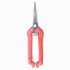 Pointed Grape and Citrus Scissors