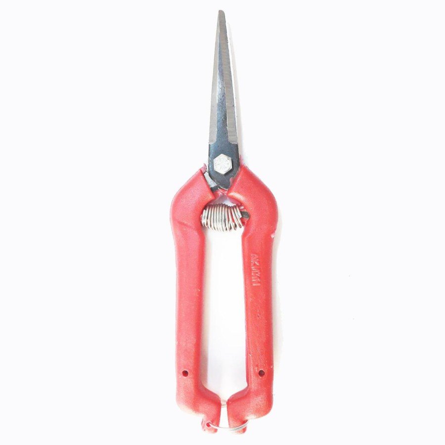 Pointed Grape and Citrus Scissors