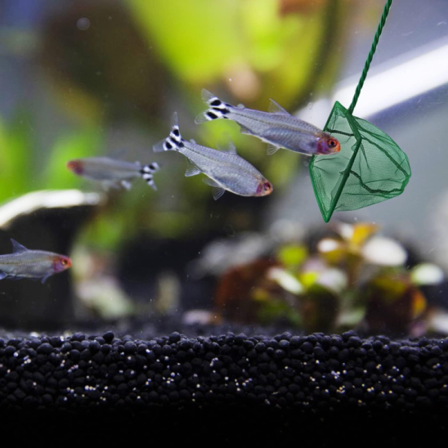 Aquarium Fish Bucket 10 CM