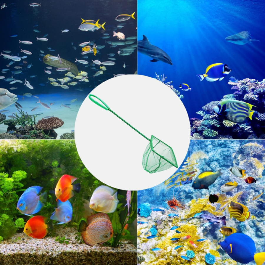 Aquarium Fish Bucket 10 CM