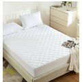 Single Mattresses Set Quilted Single Bed and Pillow Protector Mattresses Single Mattresses Set Quilted Single Bed and Pillow Protector Mattresses