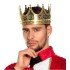 Gold Color Adult and Child Compatible King Crown 60 cm