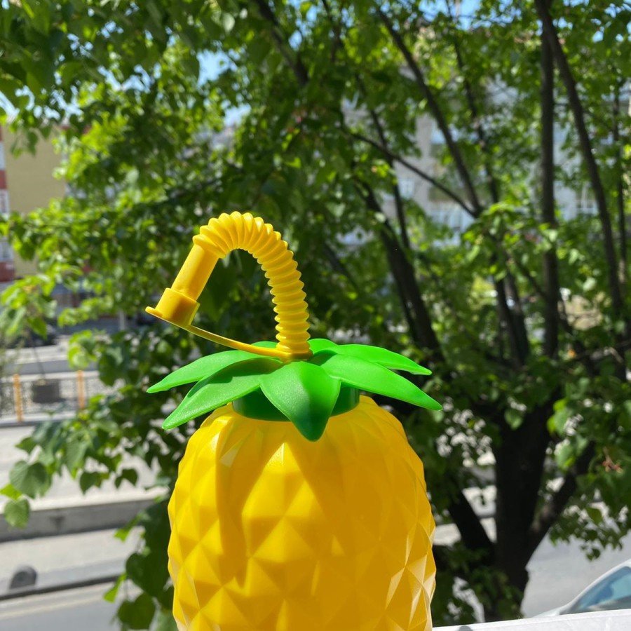 Pineapple Straw Drinker