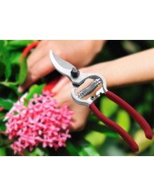 Vineyard Shears - Garden Shears