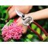 Vineyard Shears - Garden Shears