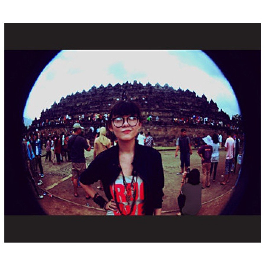 Fish Eye Mobile Phone Lens (Compatible with All Models)