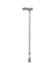 Walking stick