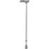 Walking stick