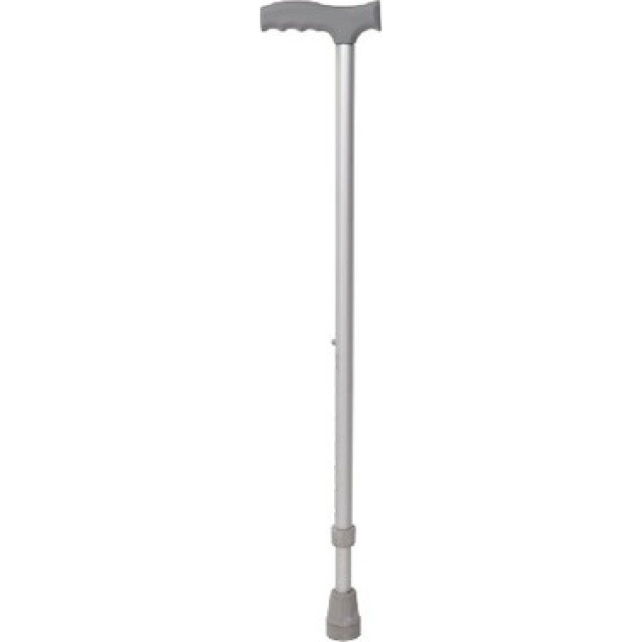 Walking stick