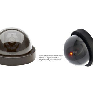 Deterrent Dome Security Camera