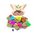 Wish Seeds - Success Wish Seeds - Success