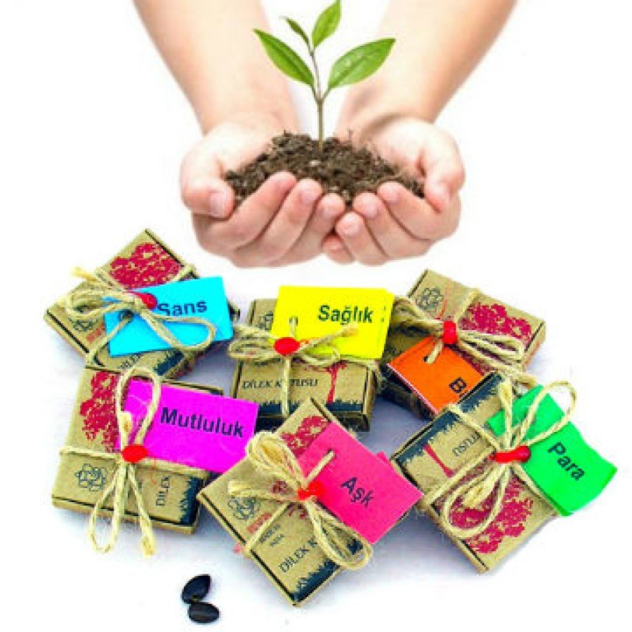 Wish Seeds - Success Wish Seeds - Success