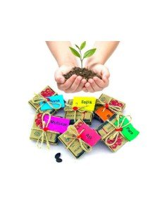 TOPTANBULURUM Wish Seeds - Luck - TB17575