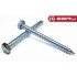 Ebru Hexagon Head Triphone Screw 6x60 - 10 Pcs