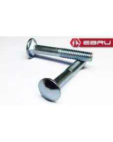 Case Bolt 1/4x50 - 20 Pieces Case Bolt 1/4x50 - 20 Pieces