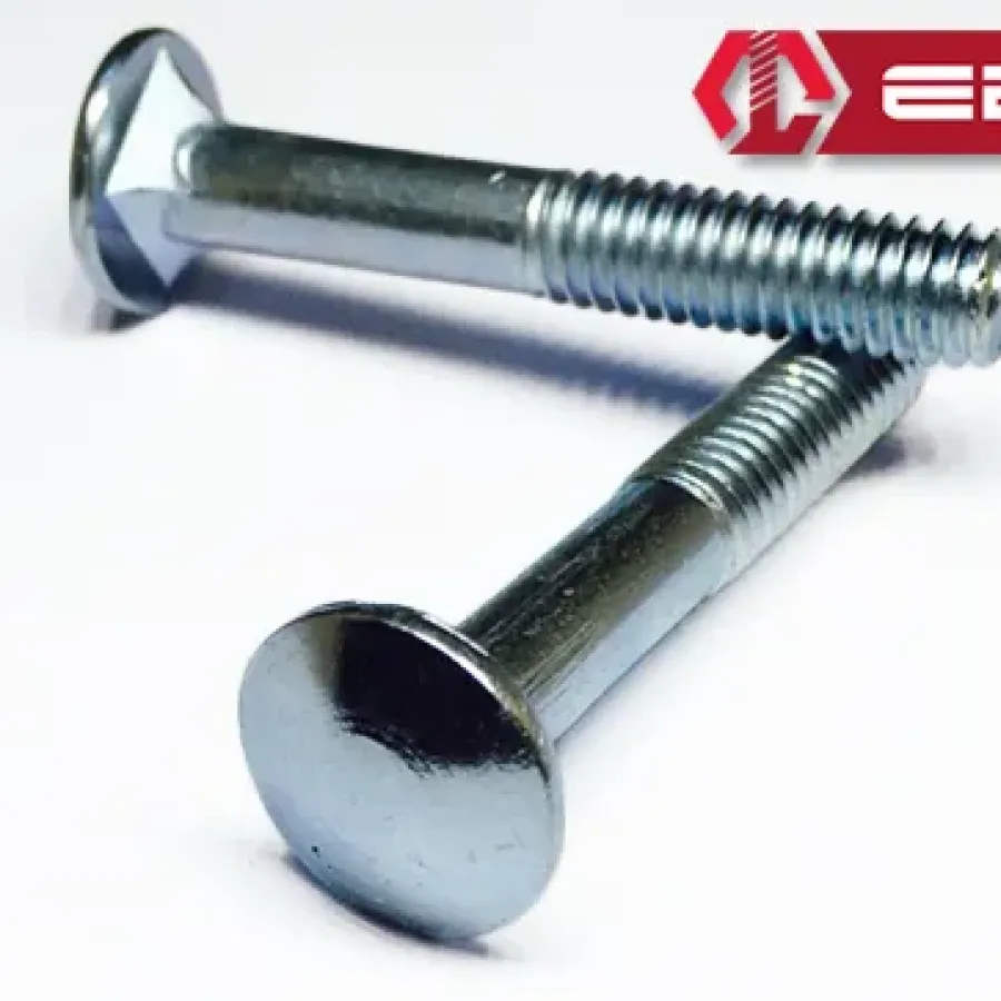 Case Bolt 1/4x50 - 20 Pieces
