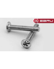 Ebru Round Star Head RYSB Handle Screw, Bolt M4x25 - 500 Pieces