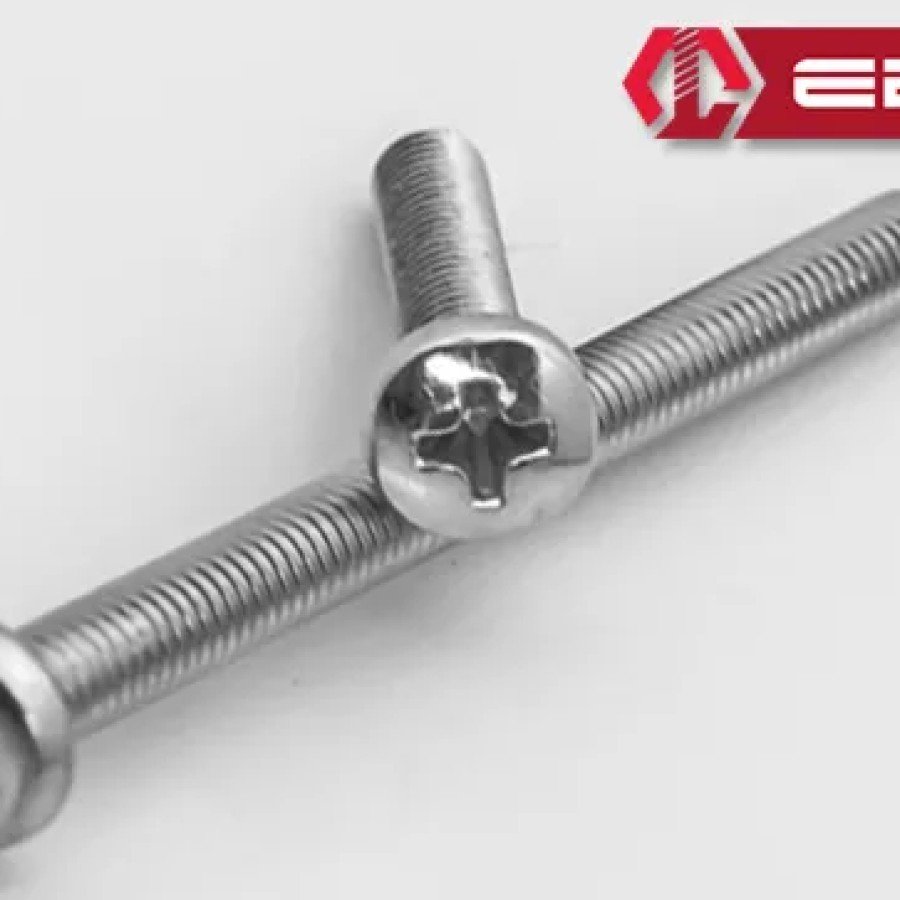 Ebru Yuvarlak Yıldız Başlı YSB Civata M6x30 - 10 Adet