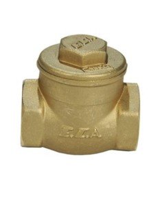 ECA 1'' Swing Check Valve