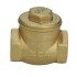 ECA 1'' Swing Check Valve
