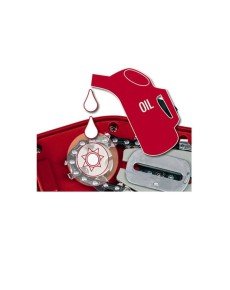 Einhell GC-EC 7520 T Electric Pruner