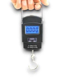 HAND SCALE 50KG