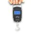 HAND SCALE 50KG